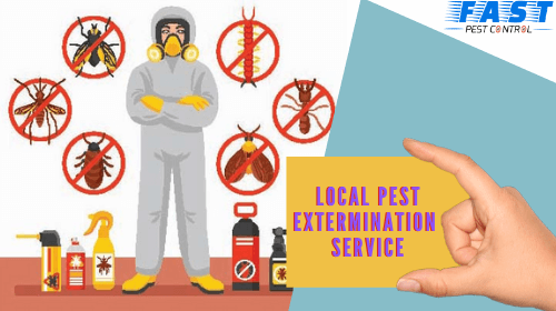 fast local pest control service