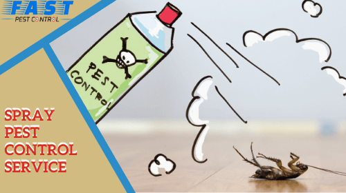 fast spray pest control service