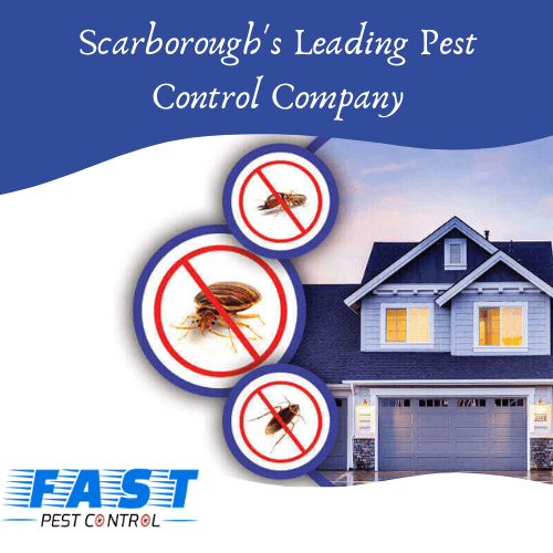 Leading pest control company