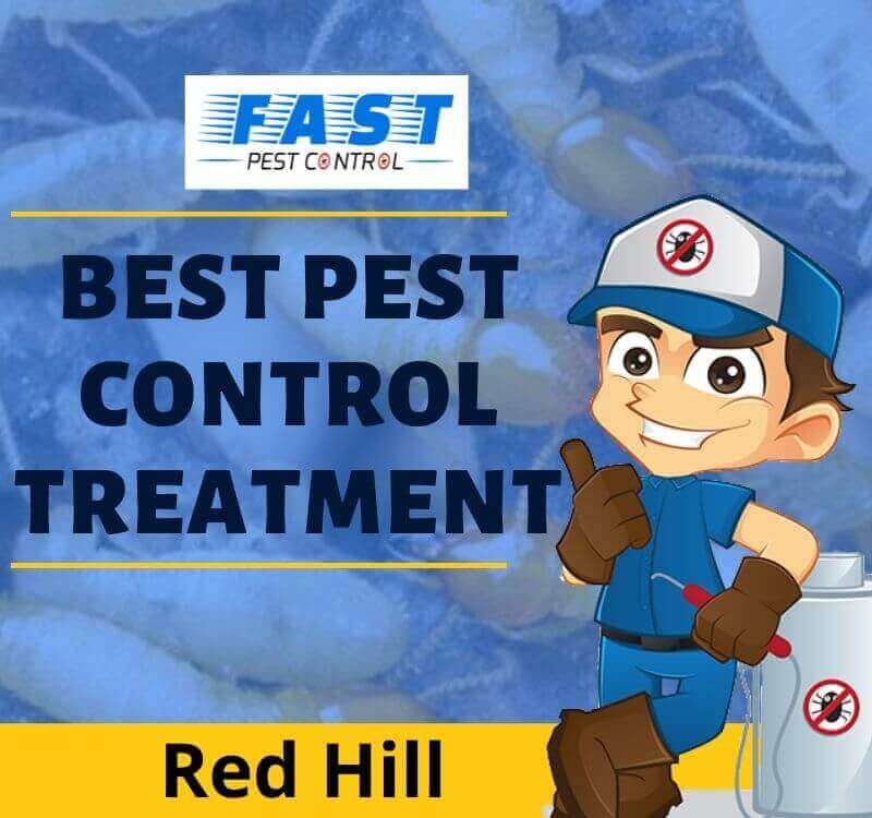 Pest Control Red Hill
