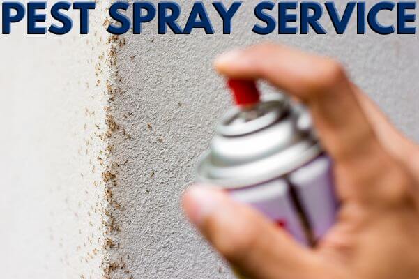 Pest Spray Service