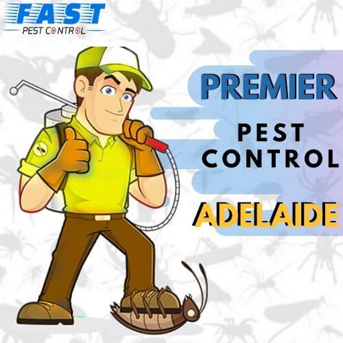 Premier Pest Control Adelaide