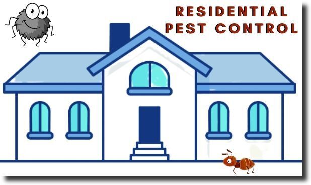 residential pest control sydney