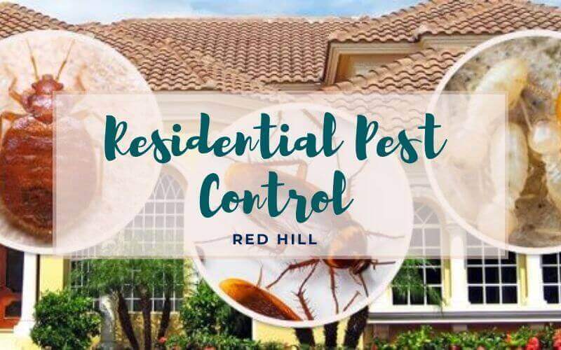 Residential pest control Red Hill