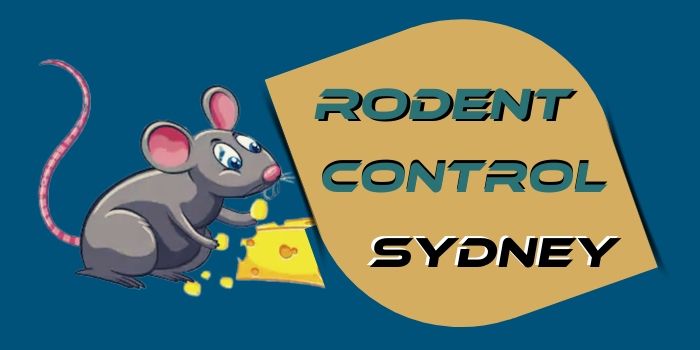 rodent control sydney