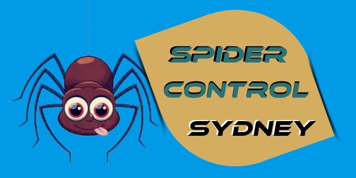 spider control sydney