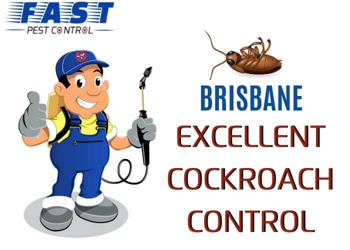excellent cockroach control brisbane