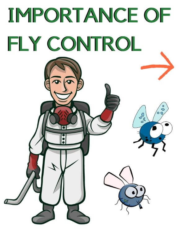 importance of FLY CONTROL BRISBANE
