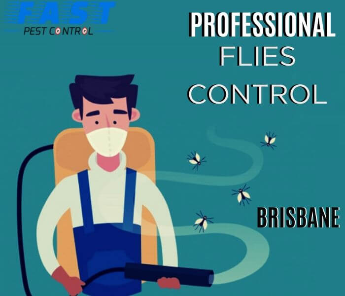 FLY CONTROL BRISBANE