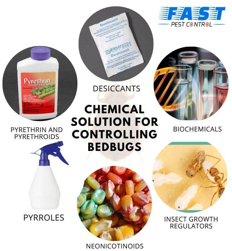 Chemical Solution To Get rid of Bedbug
