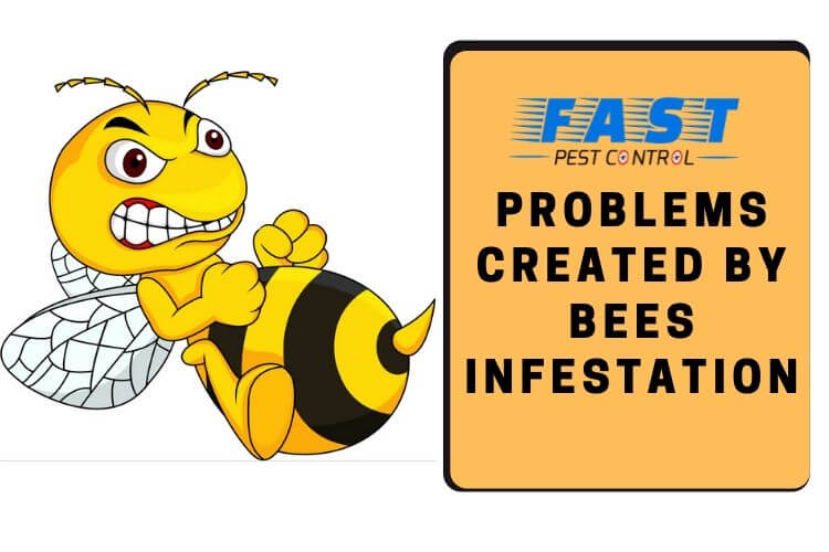 Bees Infestation Problem