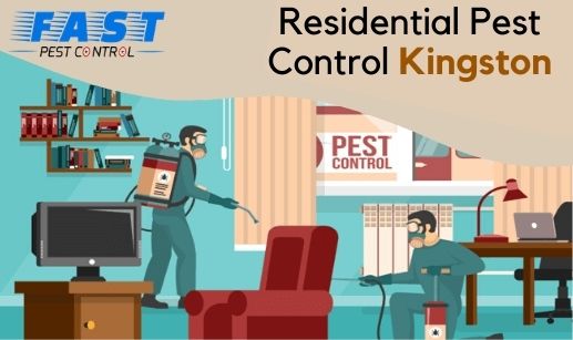 Residential Pest Control Kingston