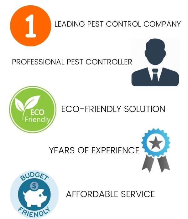 Why Choose Fast Pest Control
