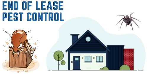 end of lease pest control