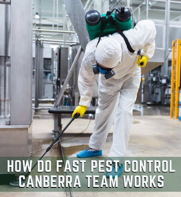 pest control canberra team