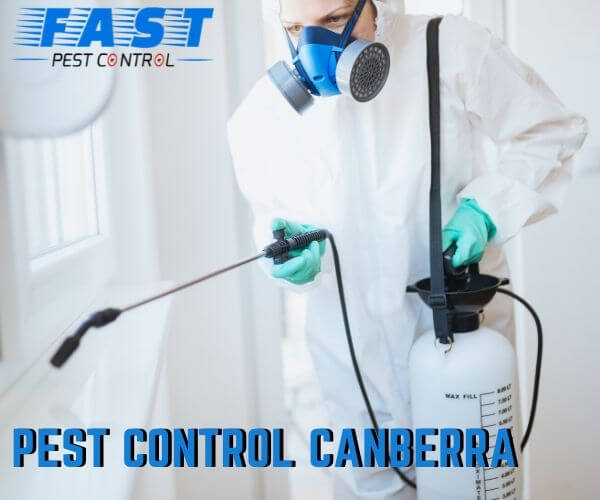 Pest Control Canberra