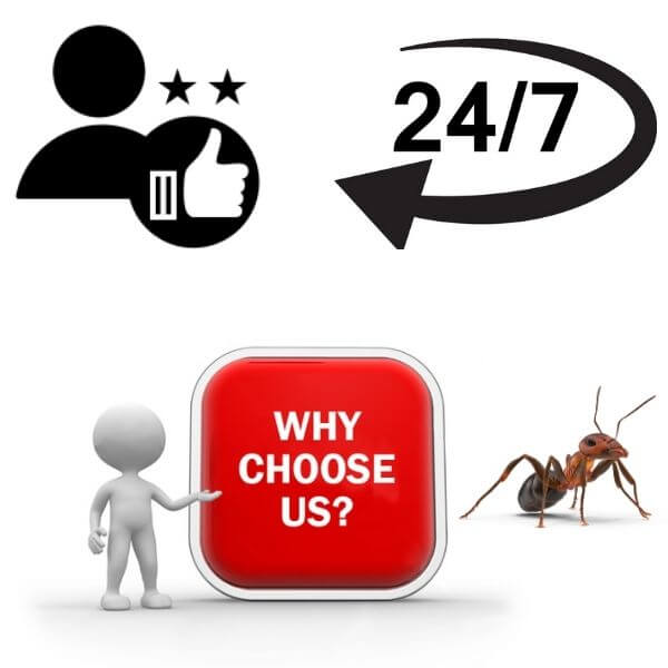 why choose fast ant control melbourne