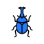 Pest Inspection Services Blackburn